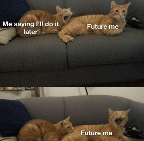 Me saying I'll do it later Future me Future me