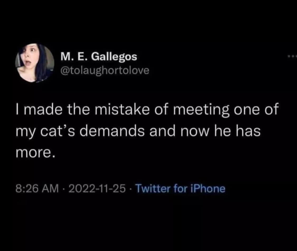 classic memes, vintage memes, viral tweets, digital humor, old memes, best memes, timeless memes, iconic tweets, internet sensations