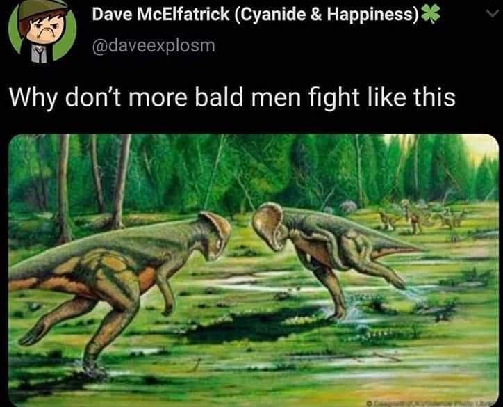 classic memes, vintage memes, viral tweets, digital humor, old memes, best memes, timeless memes, iconic tweets, internet sensations
