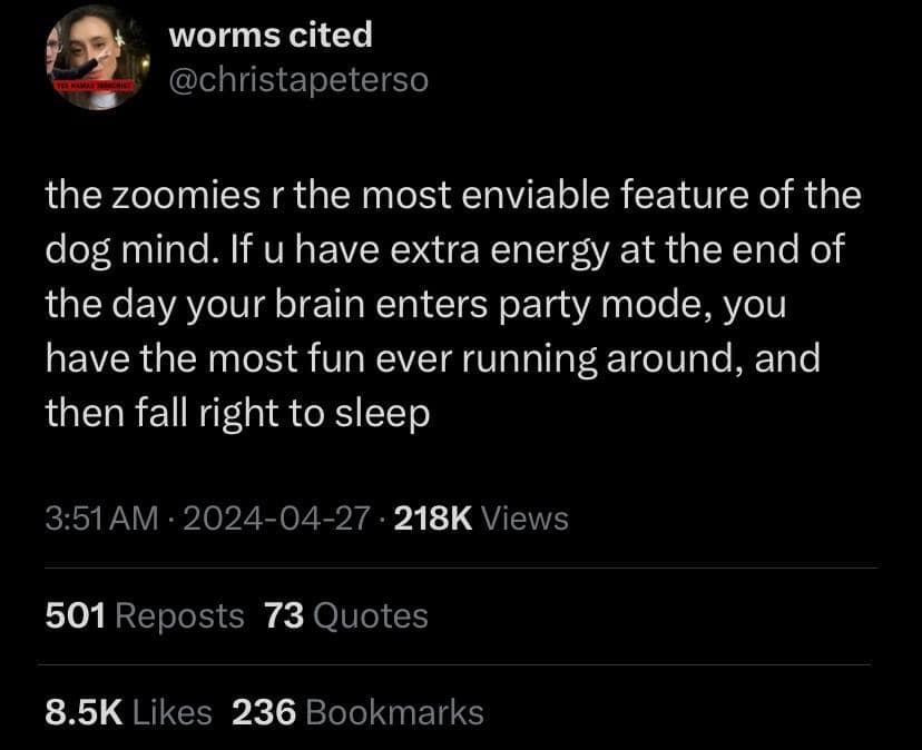 dog memes, doggo memes, funny dog memes, hilarious dog memes, best dog memes, canine memes, pup memes, amusing dog memes