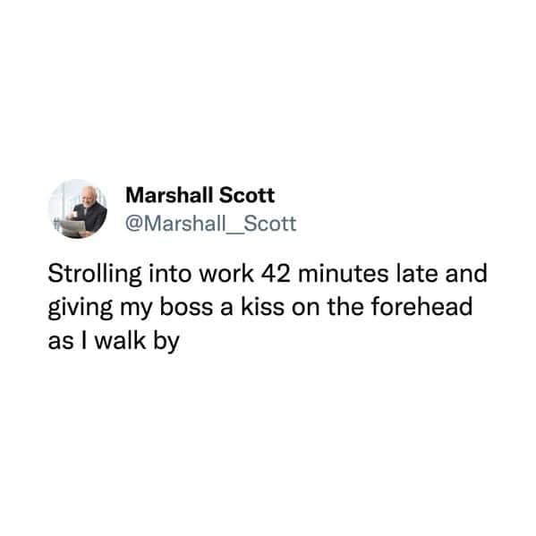 funny memes. Strolling into work 42 minutes late and giving my boss a kiss on the forehead as I walk by