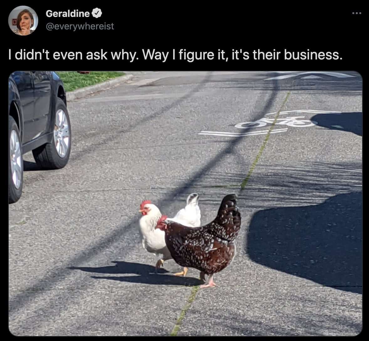 funny observations. I didn't even ask why. Way I figure it, it's their business.