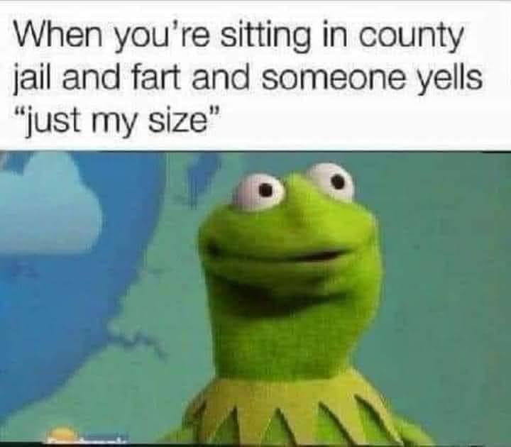 funny pics. When you're sitting in county jail and fart and someone yells "just my size"