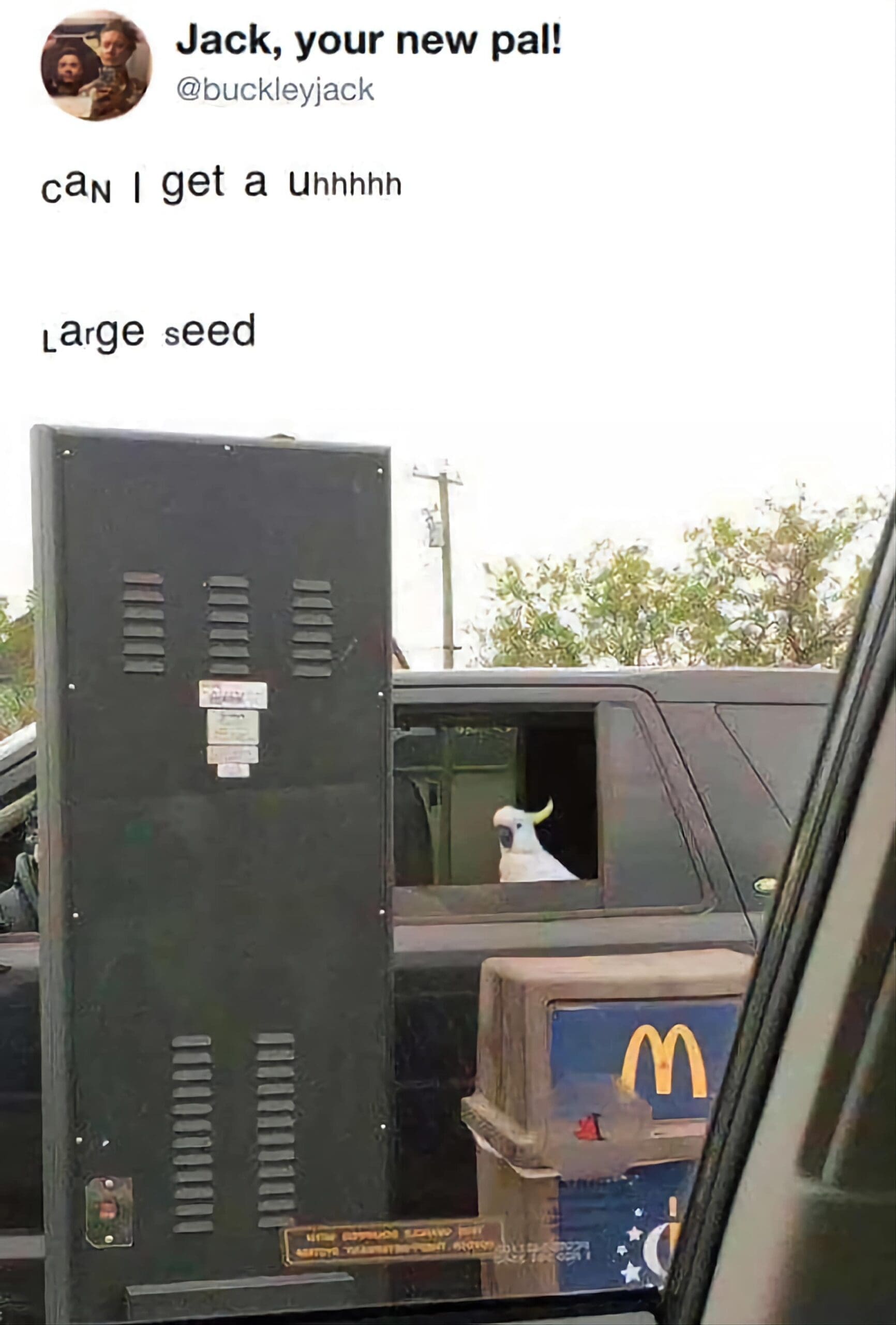 funny pics, funny memes, funny photos, funniest pictures