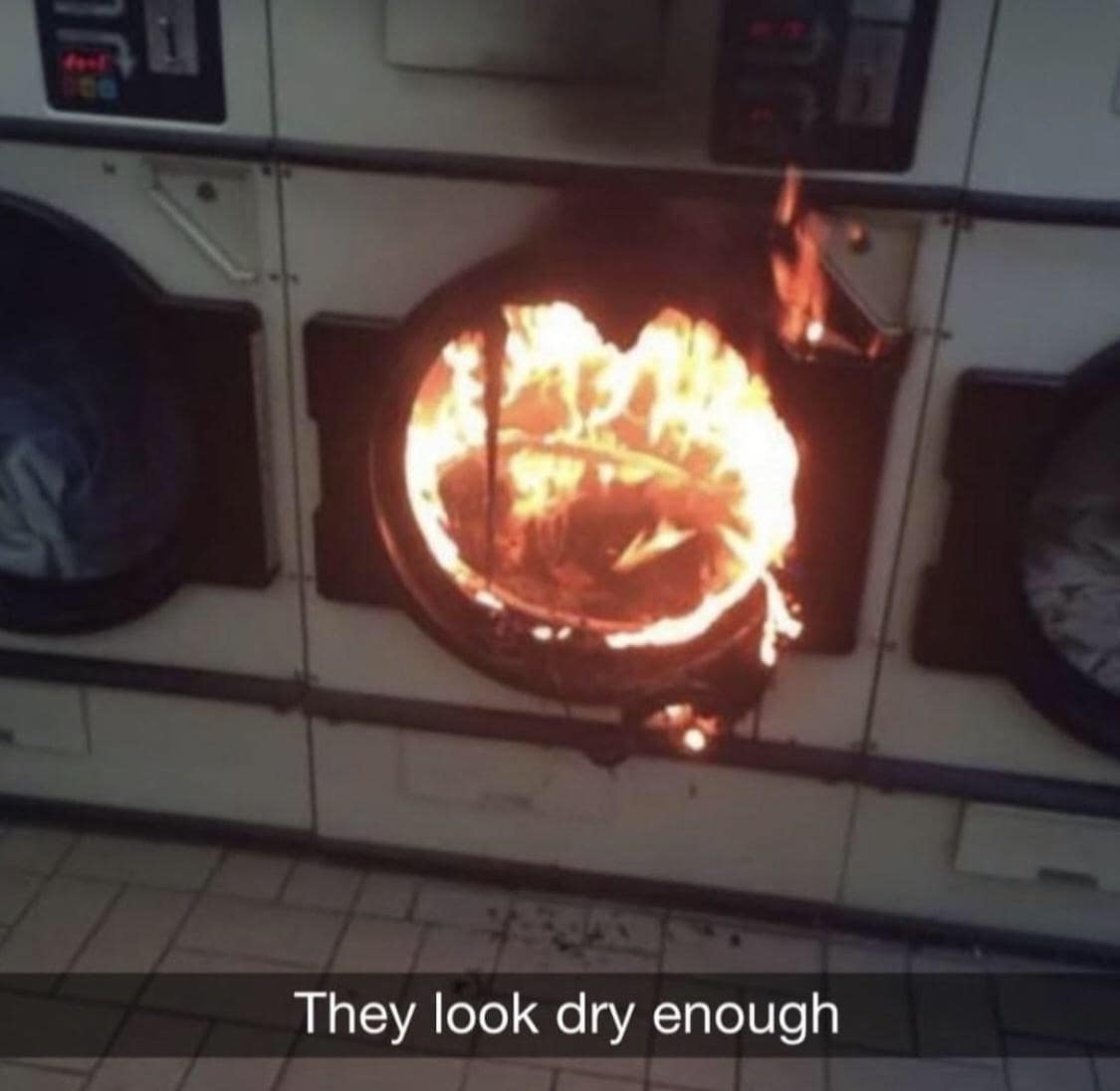 meme dump, funny memes, hilarious memes