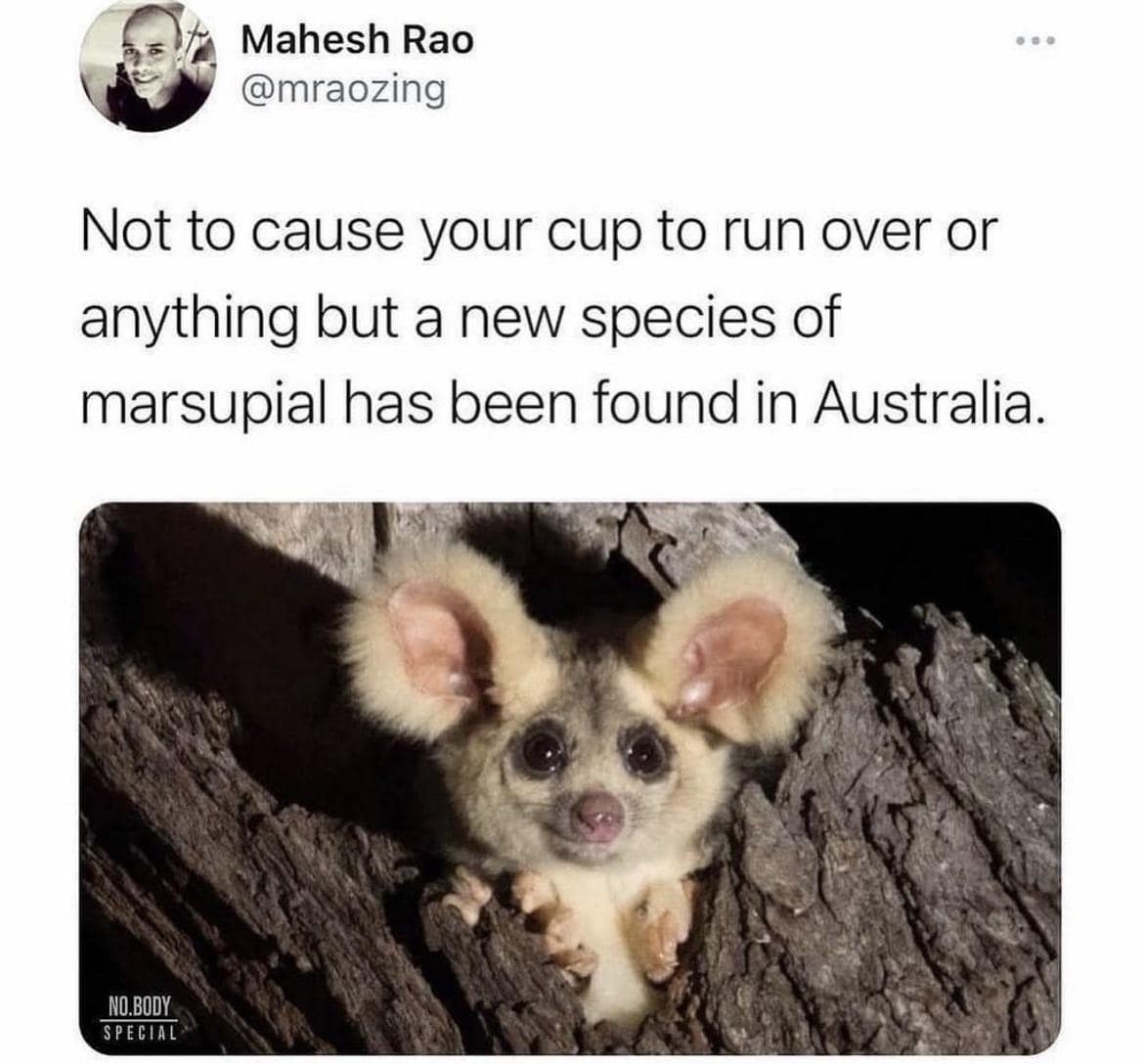 meme dump, funny memes, hilarious memes, Funny meme collection, Daily dose of internet humor, Hilarious social media content, Online comedy compilation, Fresh meme stream, Curated laughter feed