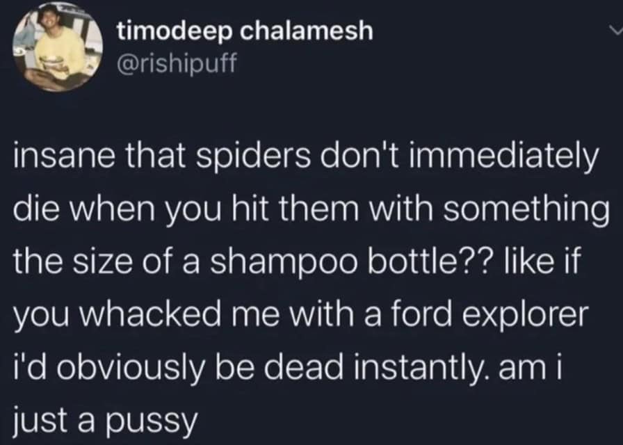 oddly specific memes, niche memes, specific interest memes, obscure online jokes, targeted humor memes