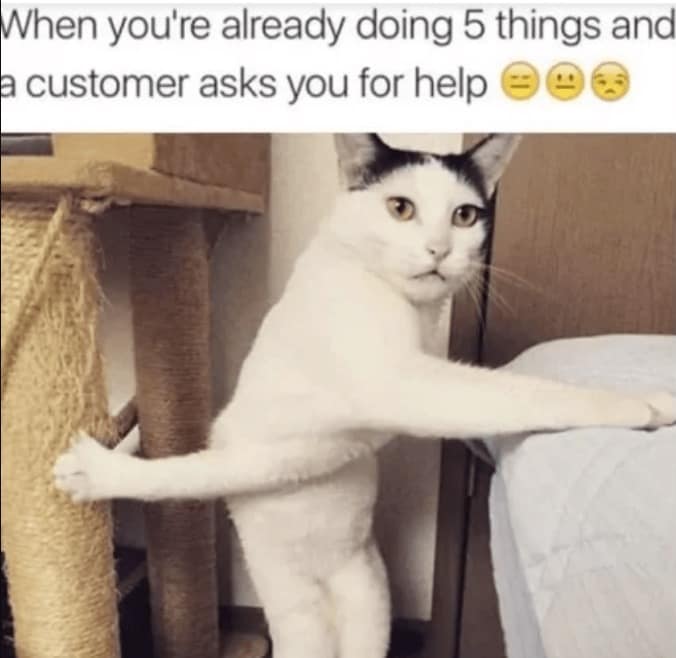work memes, office memes, Office Humor, Workplace Comedy, Cubicle Culture Memes