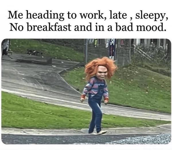 breakfast memes, morning memes, brunch memes, culinary memes, meal memes, late breakfast memes, midday meal memes