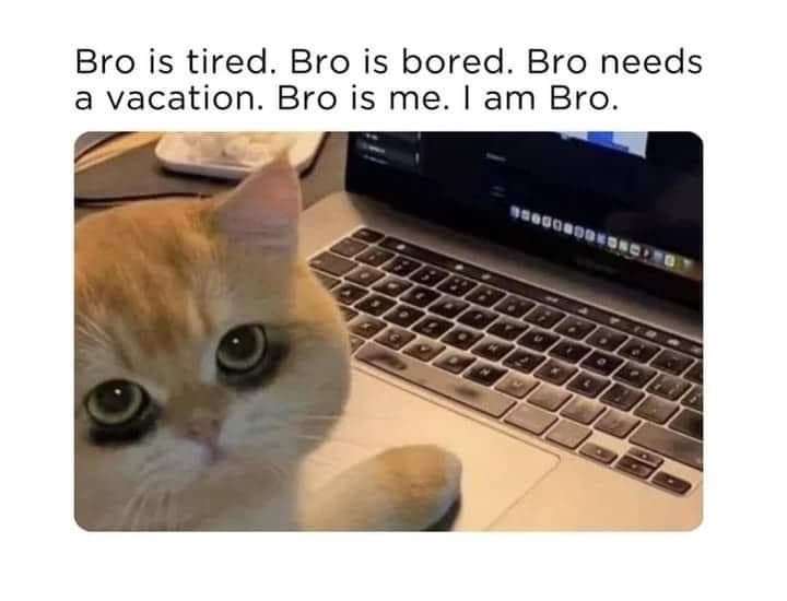 funny memes, funny images, funny pics, hilarious memes