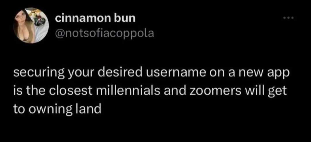 funny memes. securing your desired username on a new app is the closest millennials and zoomers will get to owning land