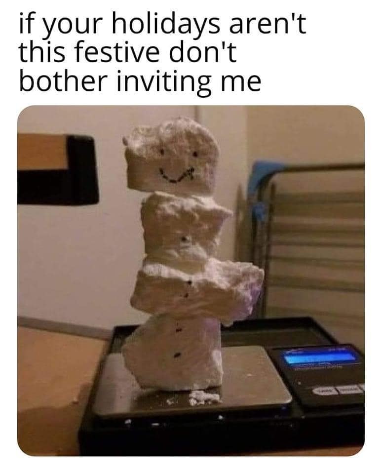 funny memes. if your holidays aren't this festive don't bother inviting me