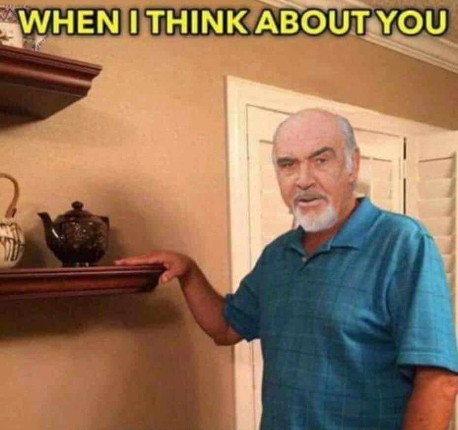 funny memes. WHEN I THINK ABOUT you I touch my shelf