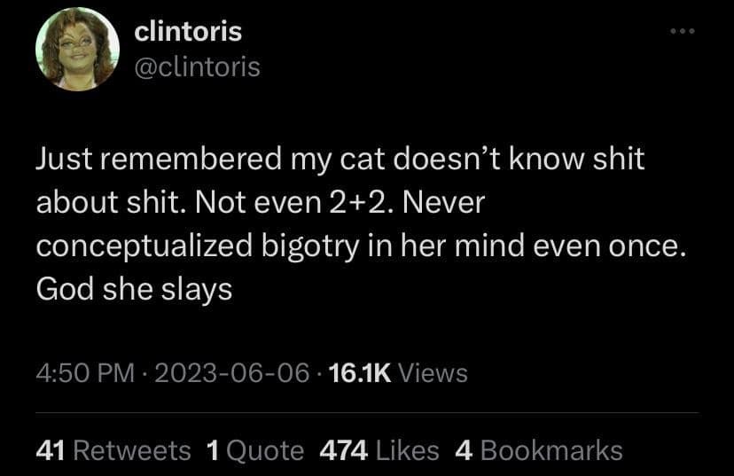 funny pics. Just remembered my cat doesn't know. Not even 2+2. Never conceptualized bigotry in her mind even once. God she slays