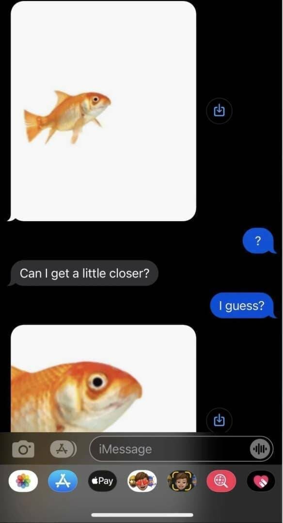 funny texts, hilarious message exchanges, hilarious messages, funny text exchanges, humorous text exchanges, comical text exchanges, text fails, messaging mishaps