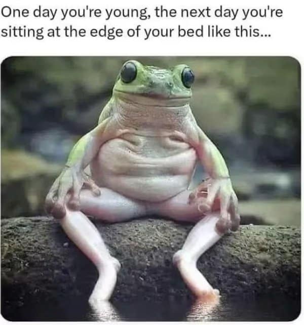 enior moments memes, midlife crisis jokes, Growing older memes, laughter in wrinkles, geriatric humor