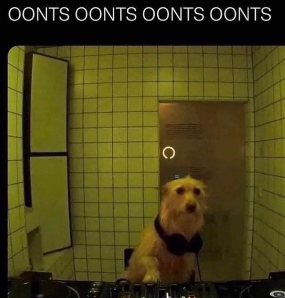 meme dump, funny memes, hilarious memes, lazy Sunday memes, humorous memes, meme collection, laughter repository, chuckle compilation, meme extravaganza