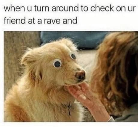meme dump, funny memes, hilarious memes, lazy Sunday memes, humorous memes, meme collection, laughter repository, chuckle compilation, meme extravaganza