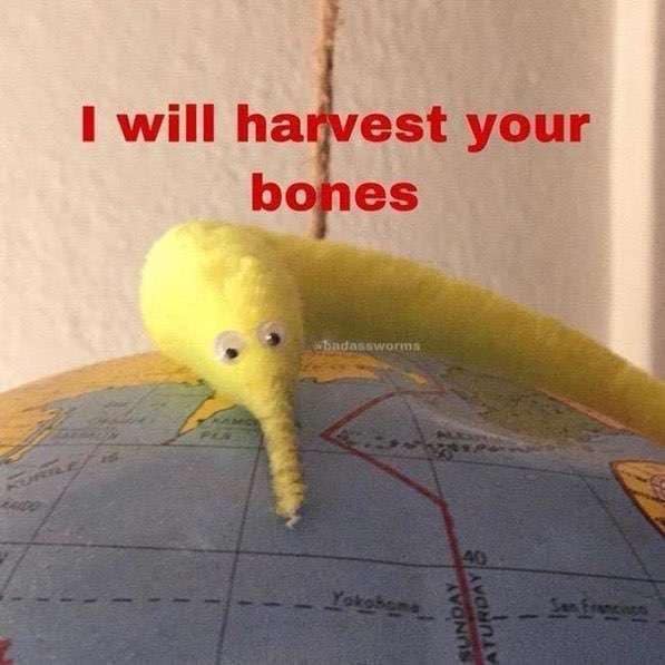 classic memes, vintage memes, viral tweets, vintage internet humor, internet nostalgia, best tweets, timeless memes, retro internet humor, iconic viral content