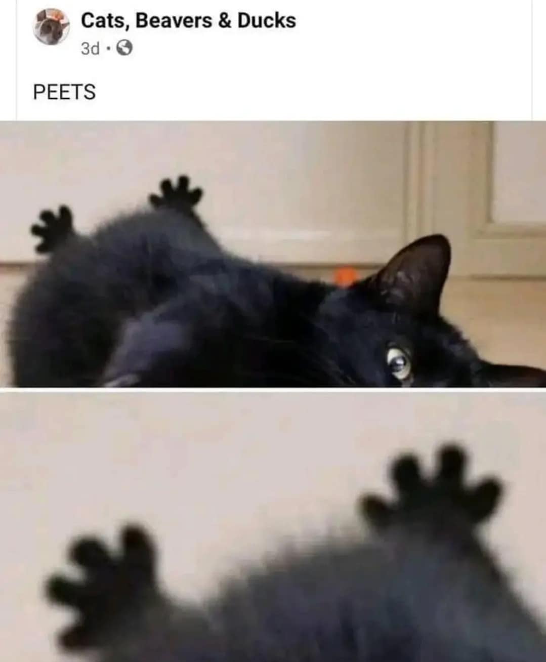 classic memes, vintage memes, viral tweets, vintage internet humor, internet nostalgia, best tweets, timeless memes, retro internet humor, iconic viral content