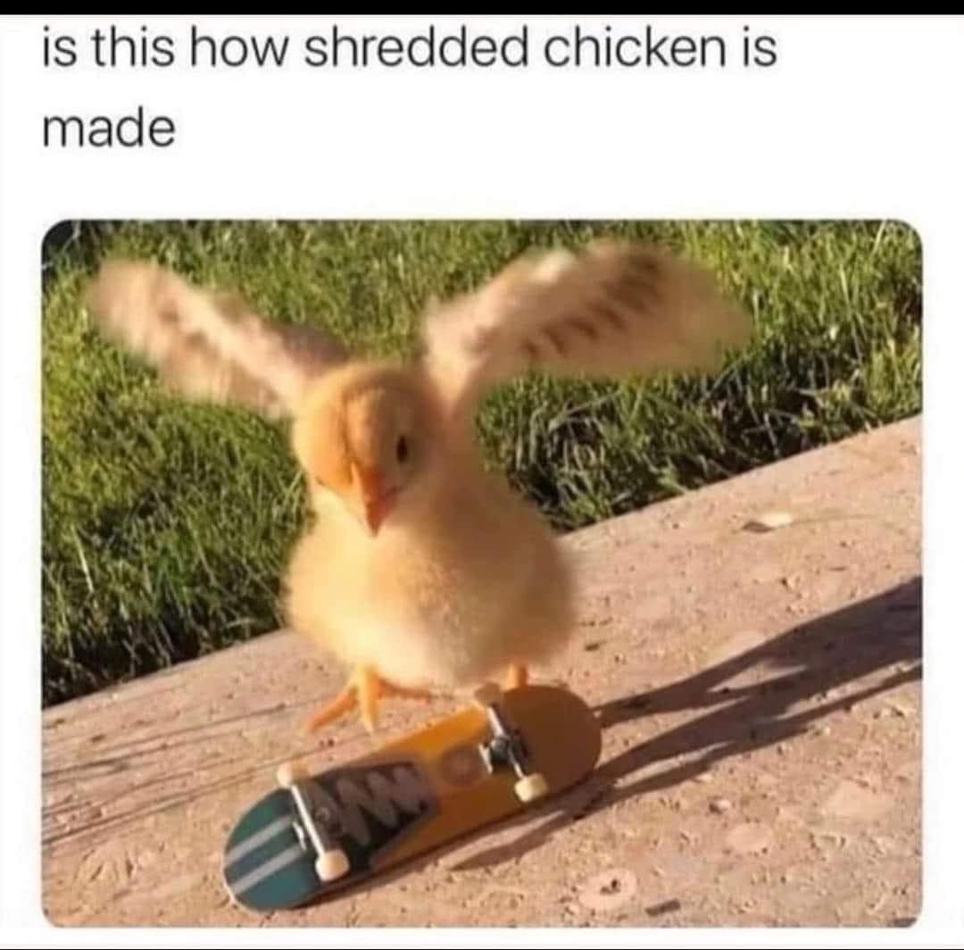 classic memes, vintage memes, vital tweets, Trending Memes, Popular Online Jokes, old memes, best memes