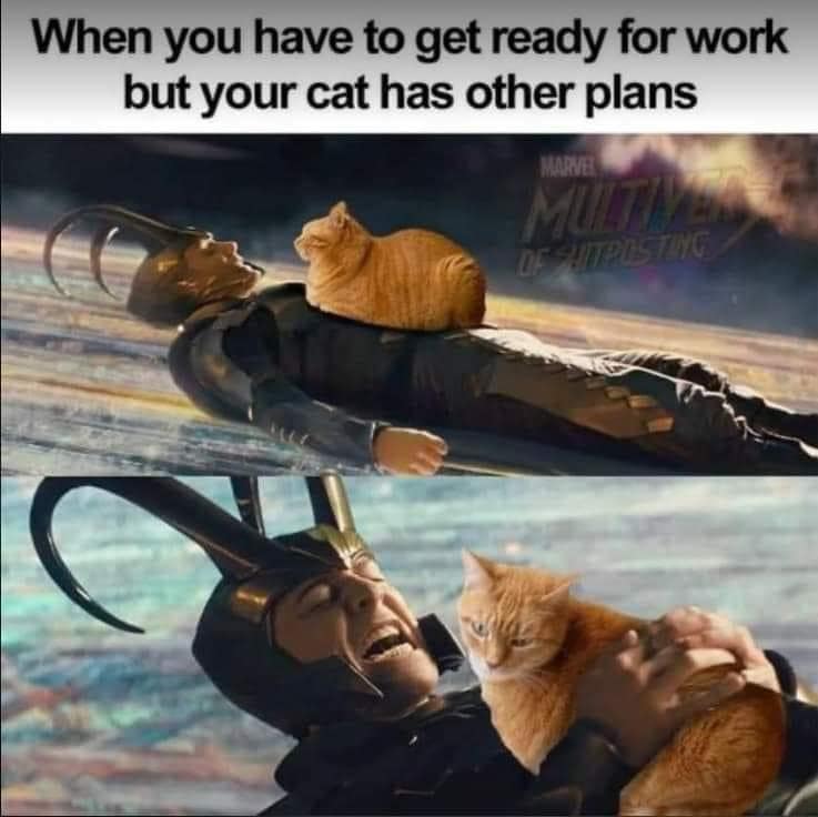 classic memes, vintage memes, viral tweets, viral memes, internet culture, funny tweets, timeless memes, iconic tweets, digital nostalgia