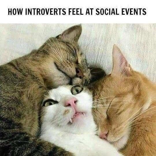 classic memes, vintage memes, viral tweets, timeless memes, internet classics, iconic memes, legendary tweets, evergreen memes