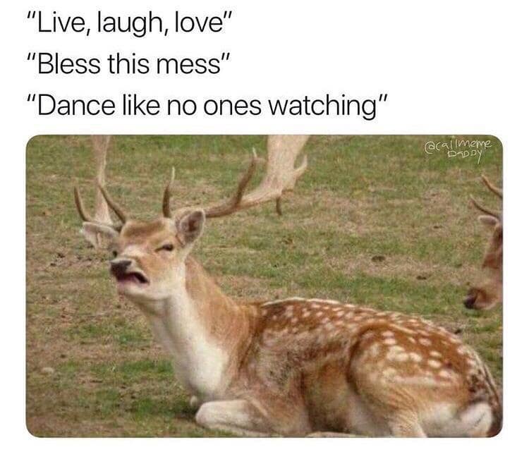 classic memes, vintage memes, viral tweets, Internet Humor, Cultural Touchstones, Iconic Memes, Online Trends, Meme History