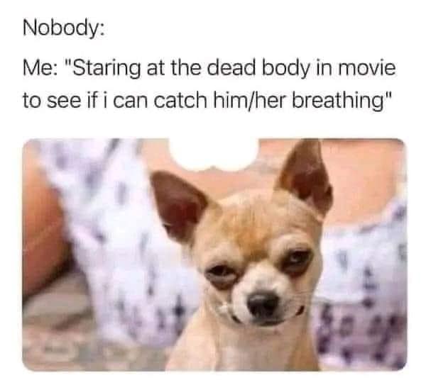 classic memes, vintage memes, viral tweets, viral memes, internet culture, funny tweets, timeless memes, iconic tweets, digital nostalgia