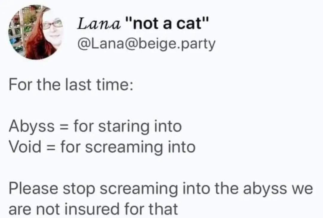 funny memes. For the last time: Abyss = for staring into Void = for screaming into Please stop screaming into the abyss we are not insured for that