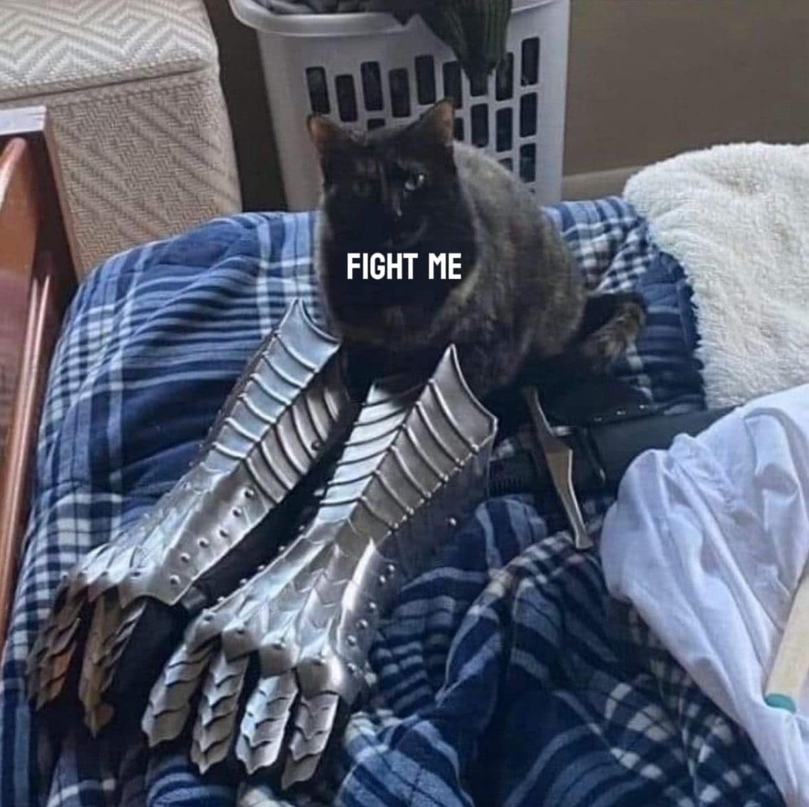 funny memes.