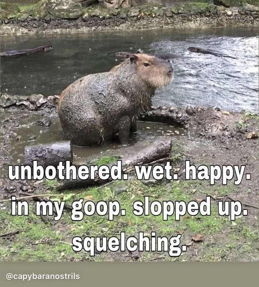 funny memes. unbothered. wet. happy. in my goop. slopped up. squelching-
