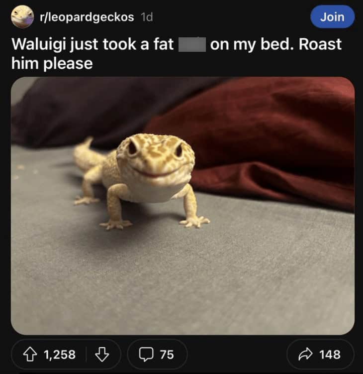 funny reddit posts, funny reddits, Hilarious Reddit content, Weird Reddit, Reddit finds