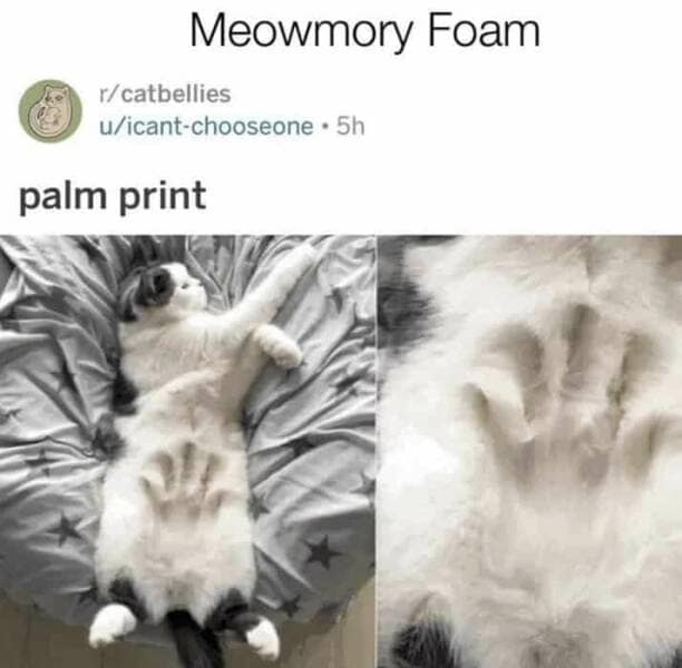 funny reddit posts, funny reddits, Hilarious Reddit content, Weird Reddit, Reddit finds