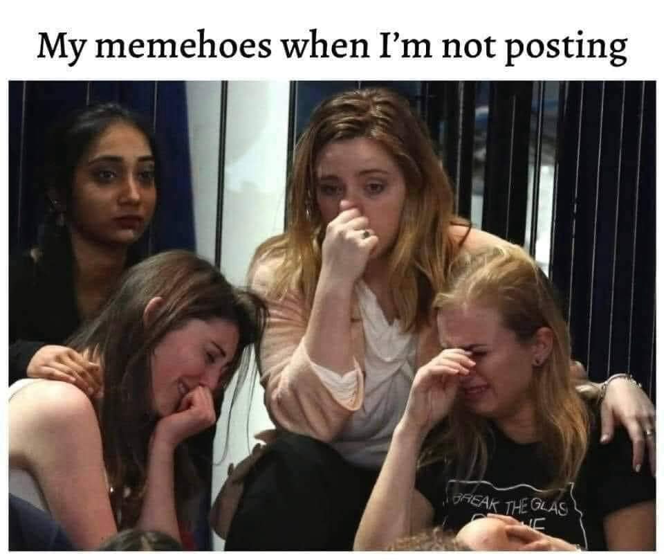 meme dump, funny memes, hilarious memes, funny memes, internet humor, comedic tweets, best memes