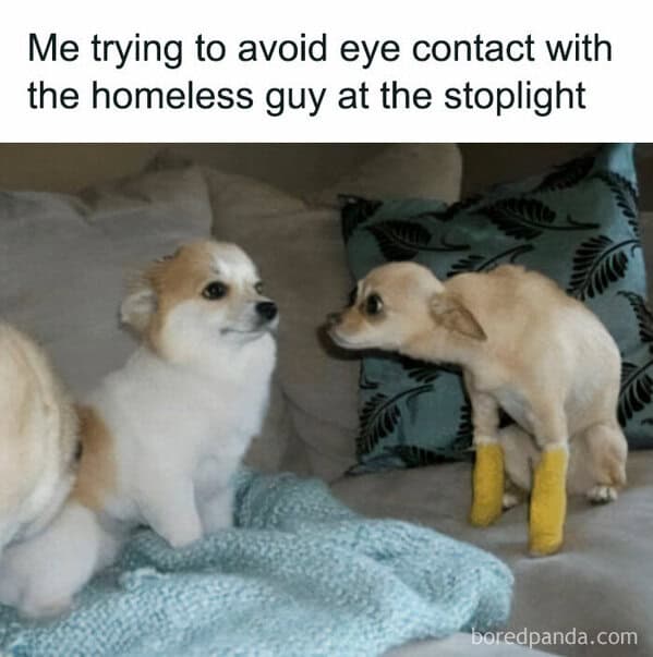 relatable memes, Funny Memes, Hilarious Memes, Amusing Memes