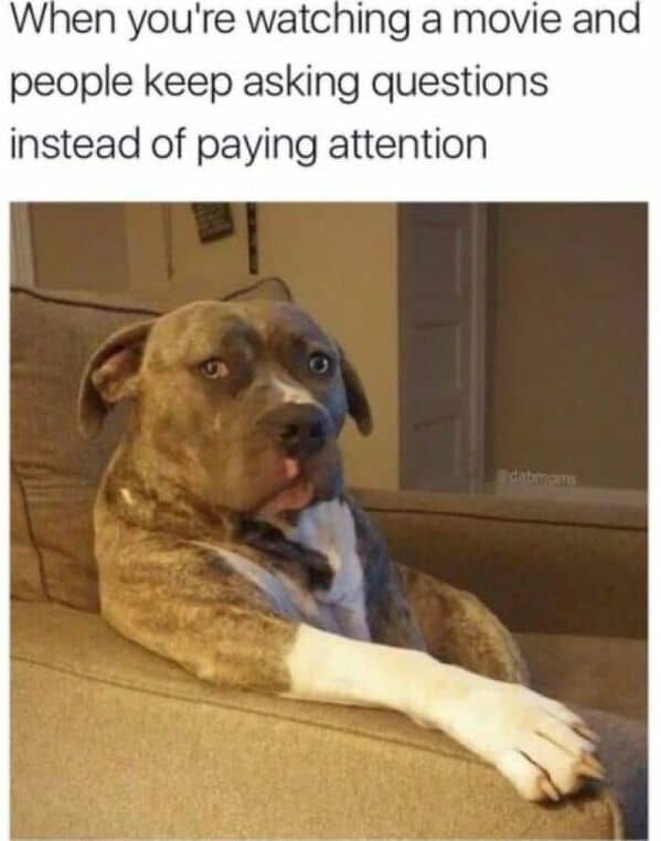 relatable memes, Funny Memes, Hilarious Memes, Amusing Memes