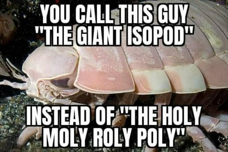 science memes, Scientific Humor, lab humor, research humor, Funny Science Facts, entertaining science facts, amusing science discoveries, STEM Jokes, science, technology, engineering, and mathematics jokes