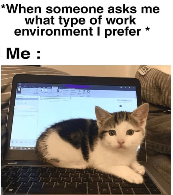 work from home memes, remote work humor, hybrid work memes, WFH jokes, remote work funnies, hybrid work laughs, work from home humor