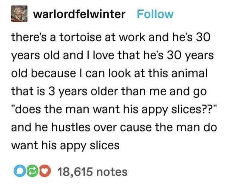 classic memes, vintage memes, viral tweets, Meme History, Viral Trends, Nostalgic Content, Iconic Memes, old memes