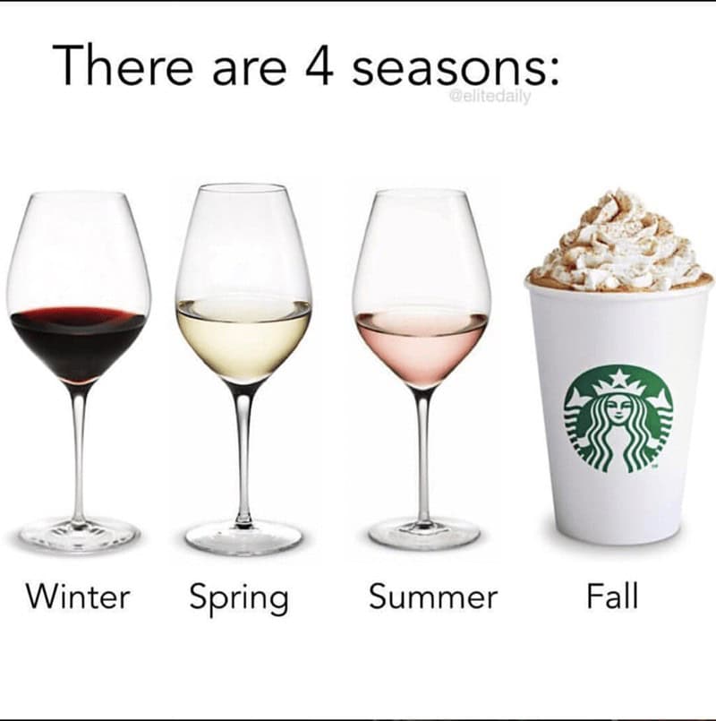 fall memes, autumn memes, end of summer memes