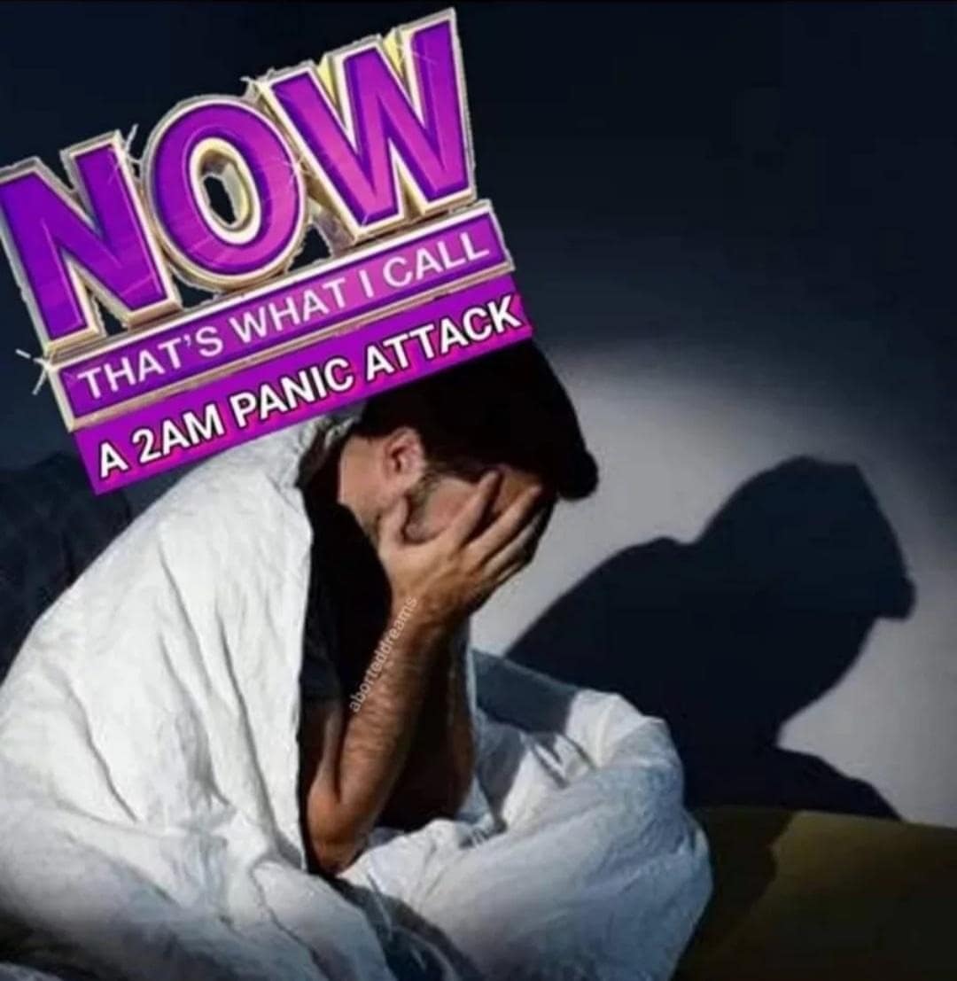 funny memes.NOW THAT'S WHAT I CALL A 2AM PANIC ATTACK