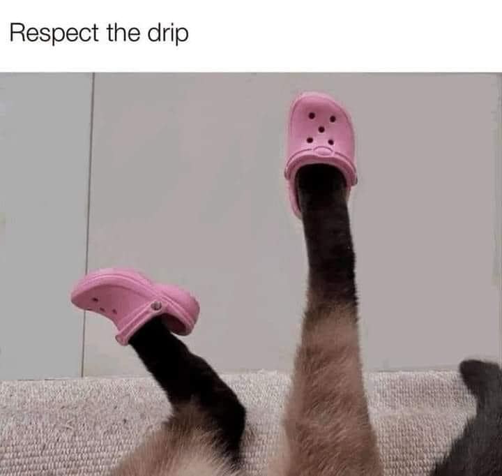 funny memes.