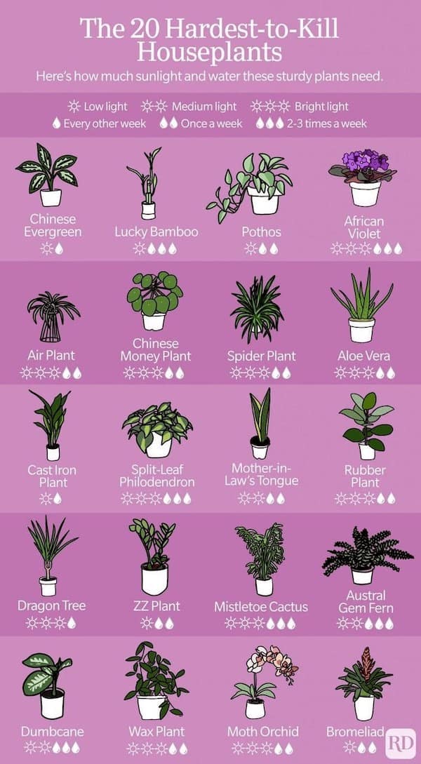 interesting charts, funny infographics, humorous data visualizations, clever charts