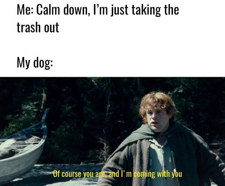 lotr memes, lord of the rings memes, Lord of the Rings jokes, Funny Middle-earth memes, Hobbit memes, Fantasy parody memes