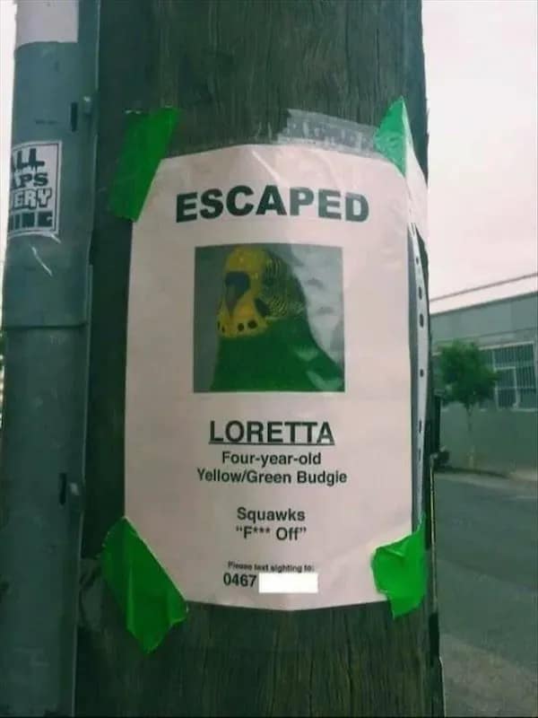meme dump, funny memes, hilarious memes, funny memes, Sunday humor, laughter therapy, hilarious meme collection, laugh-out-loud memes,
