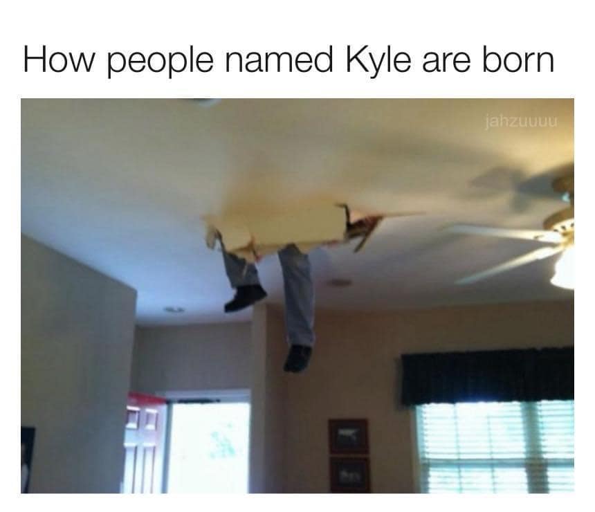 meme dump, funny memes, hilarious memes, lunch break memes, daily laughs, internet comedy, humor compilation, meme buffet, comedy roundup