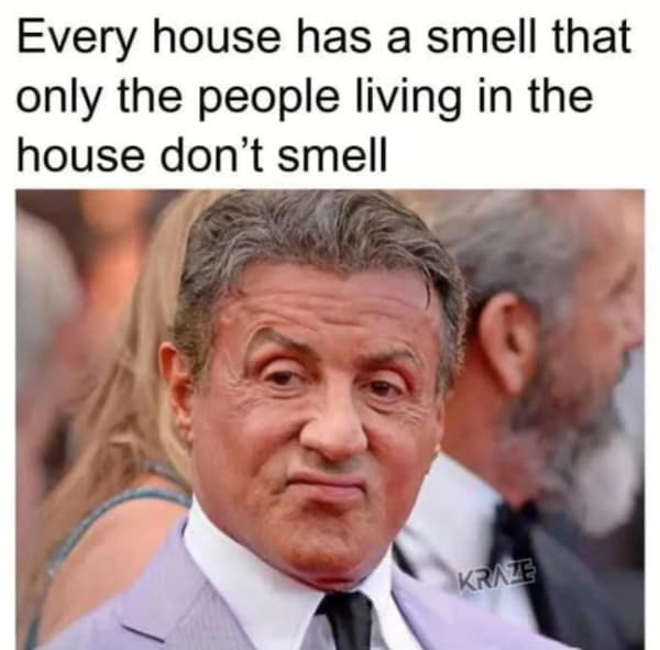 meme dump, funny memes, hilarious memes, funny memes, Sunday humor, laughter therapy, hilarious meme collection, laugh-out-loud memes,