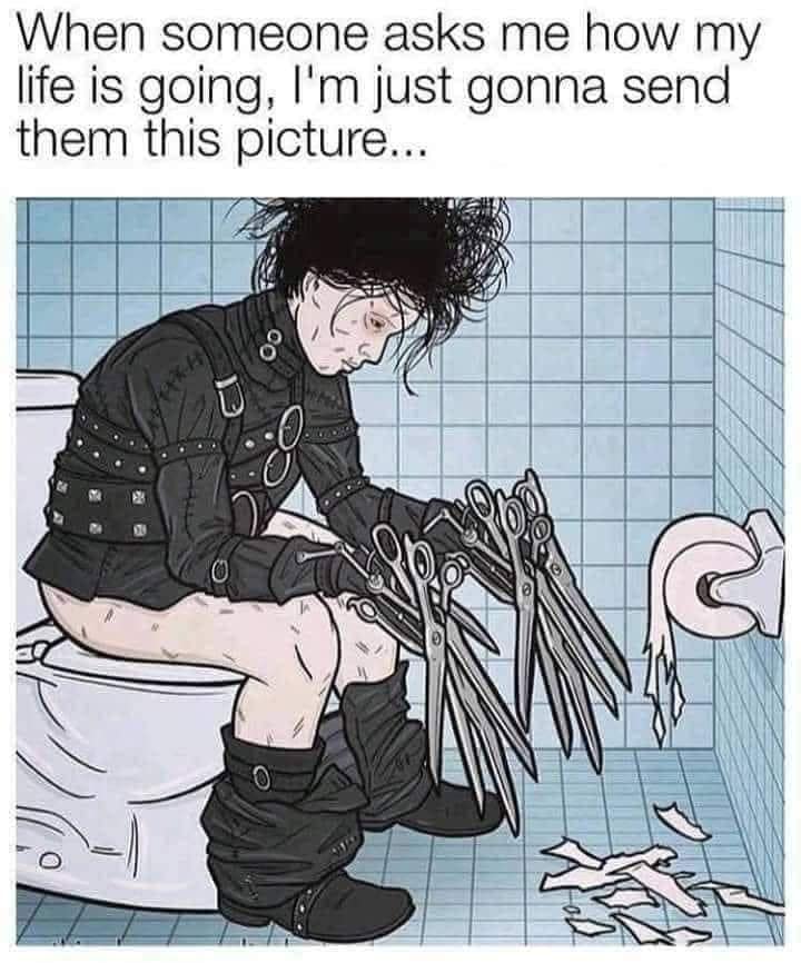 meme dump, funny memes, hilarious memes