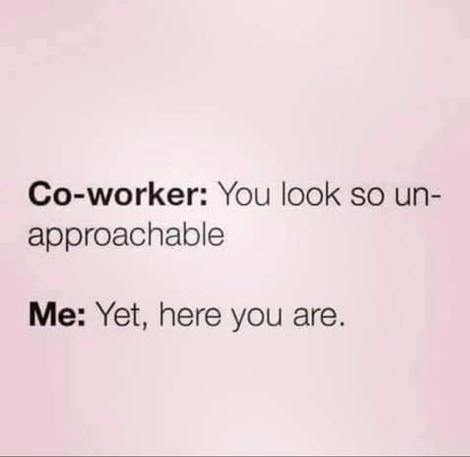 meme dump, funny memes, hilarious memes